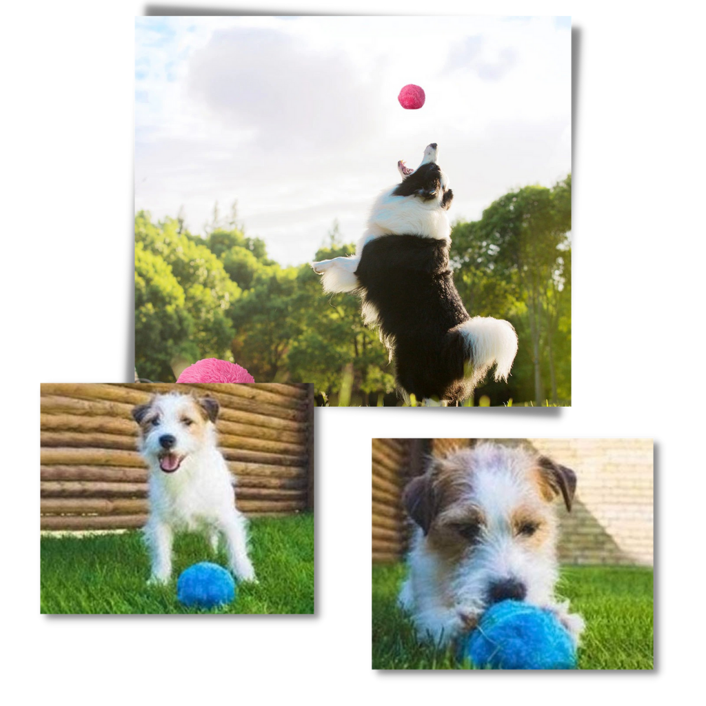Automatic moving roller ball for dog with changeable covers