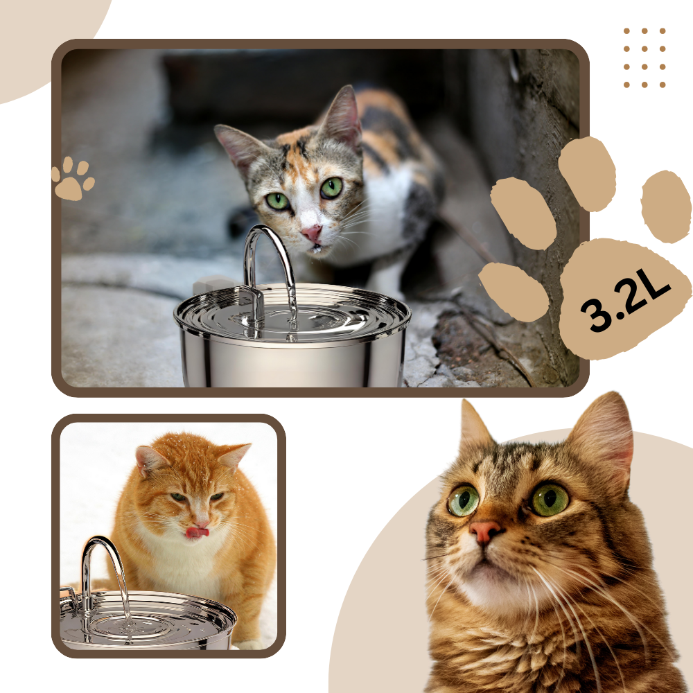 Large Capacity Cat Drinking Fountain - Ozerty