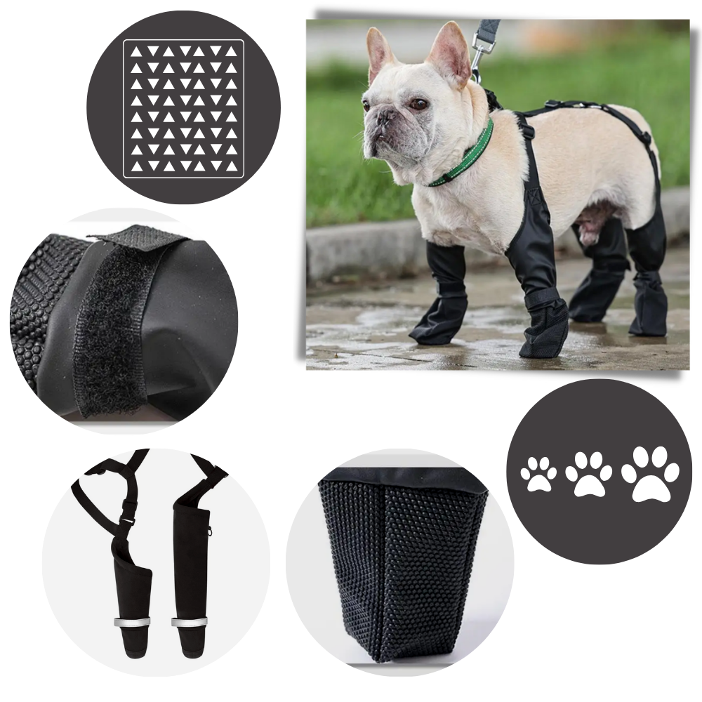 Waterproof Dog Suspenders Boots - Ozerty