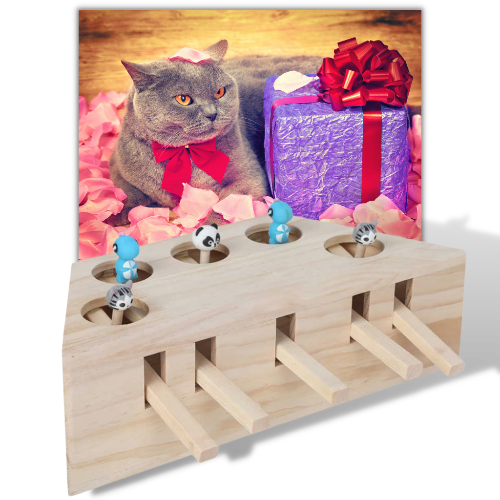 5 Hole Wooden Interactive Cat Toy