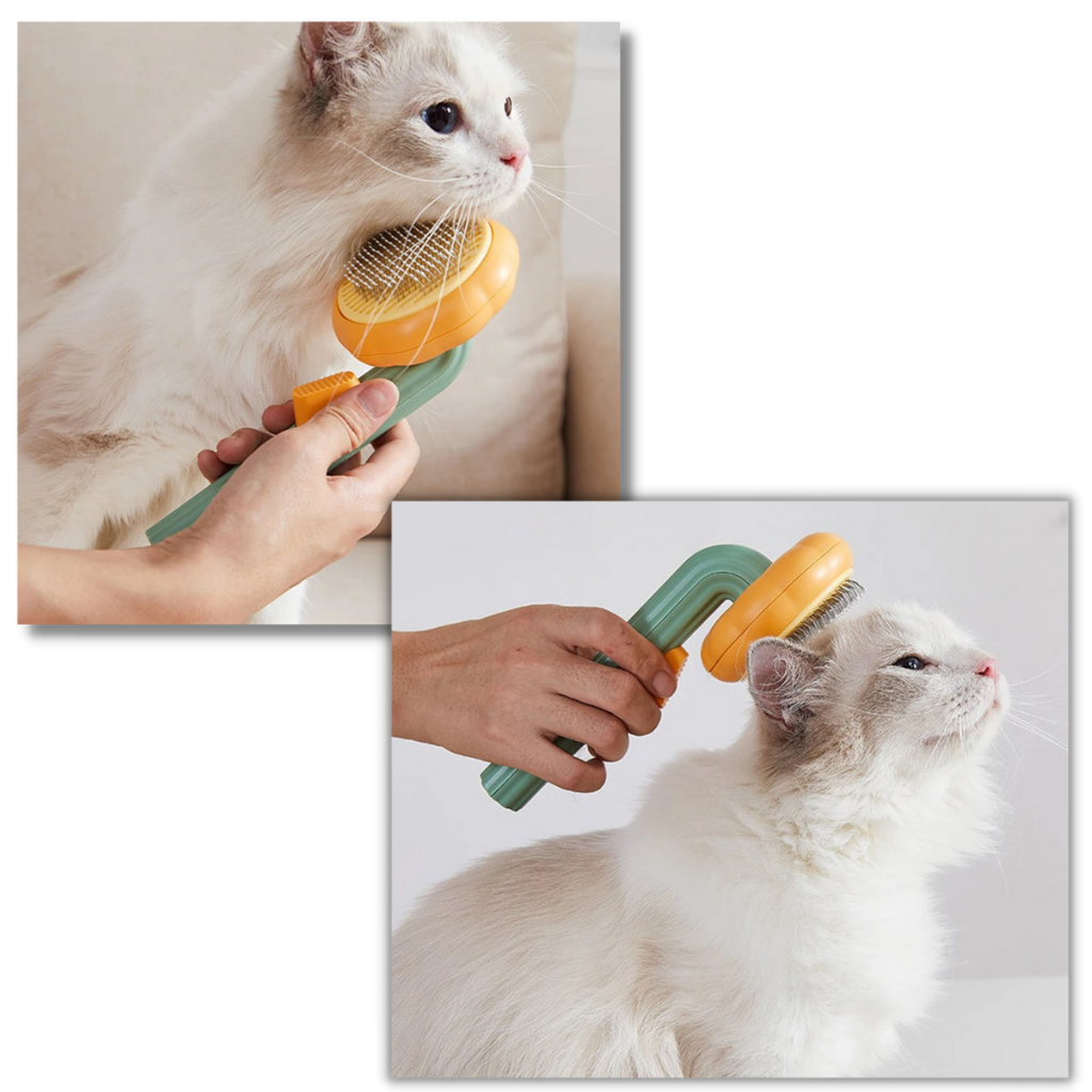 Self-cleaning pumpkin pet brush